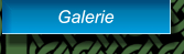 Galerie Galerie