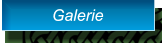 Galerie Galerie