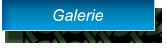 Galerie Galerie