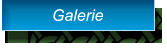 Galerie Galerie