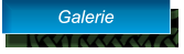 Galerie Galerie